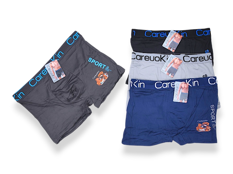 Трусы Jelzin (XL-3XL) A5572 mix (деми)