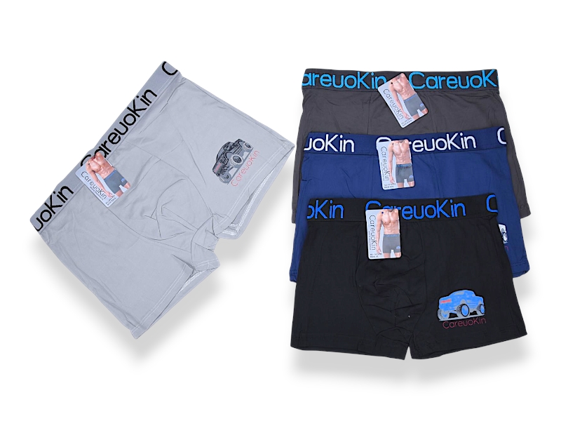 Трусы Jelzin (XL-3XL) DF3435 mix (деми)