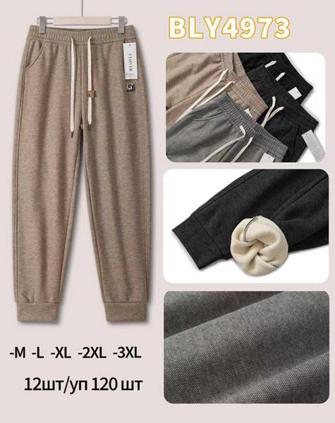 Штаны спорт Anion (M-2XL) BLY4973 mix (зима)