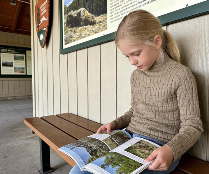 Гольф Yalisi (110-150) 519 l.brown (зима)