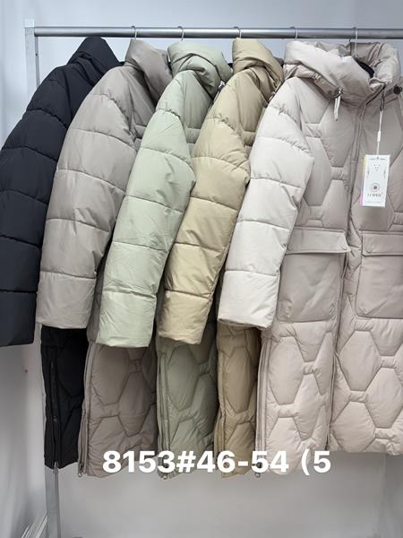 Куртка Jacket (46-54) 8153 d.beige (зима)
