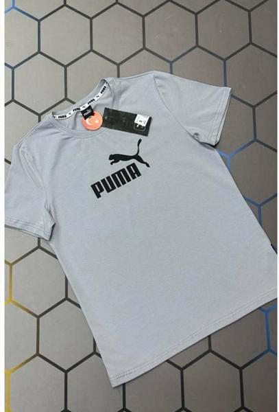 Футболка Alex Clothes (S-2XL) 13082 grey (лето)