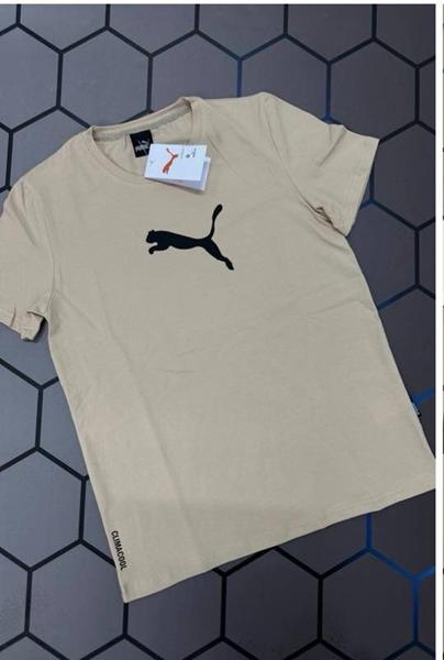 Футболка Alex Clothes (S-2XL) 13090 beige (лето)