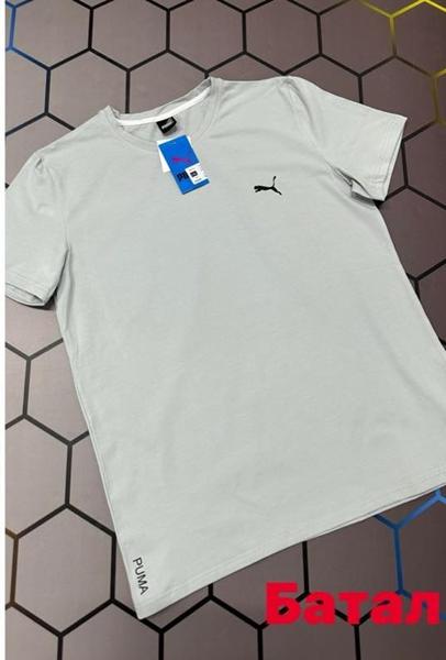 Футболка Alex Clothes (2XL-6XL) 13119 l.grey (лето)