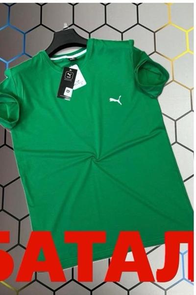 Футболка Alex Clothes (2XL-6XL) 13120 green (лето)