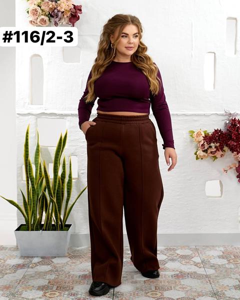 Штаны спорт Global (48-52) 116-2 brown (зима)