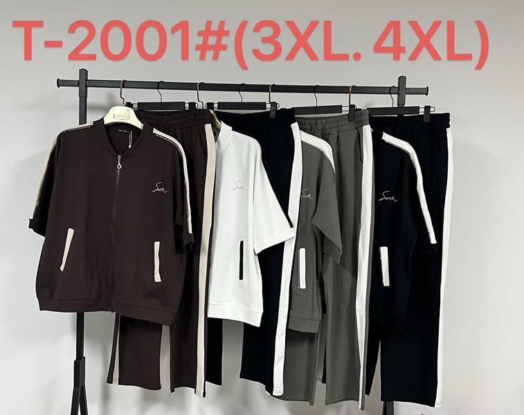 Костюм Saint Wish (3XL-4XL) T2001 mix (лето)