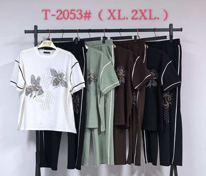 Костюм Saint Wish (XL-2XL) T2053 mix (лето)