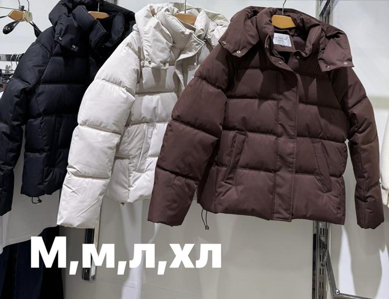 Куртка Style Nadezhda (M-XL) 1816 brown (деми)