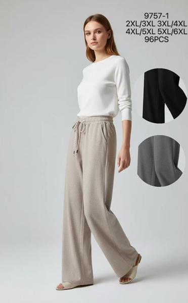 Штаны спорт Style Nadezhda (2XL-6XL) 9757-1 mix (деми)