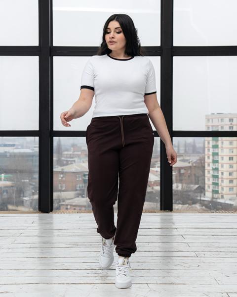 Штаны спорт AZNA (XL-4XL) Б53 brown (деми)