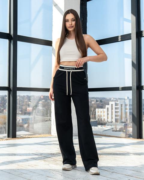 Штаны спорт AZNA (S-XL) Б50 black (деми)