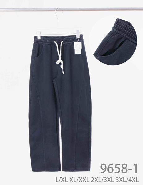 Штаны Hoan (L-4XL) 9658-1 black (деми)