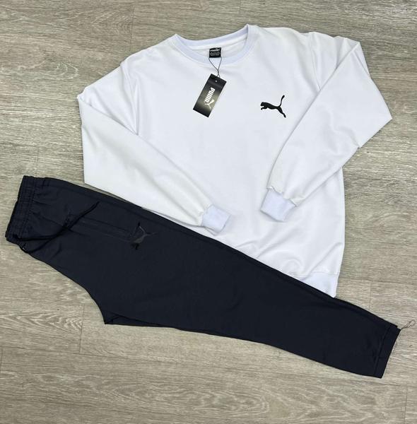 Костюм спорт MirWear (M-3XL) MW217-241-90 white-d.grey (деми)