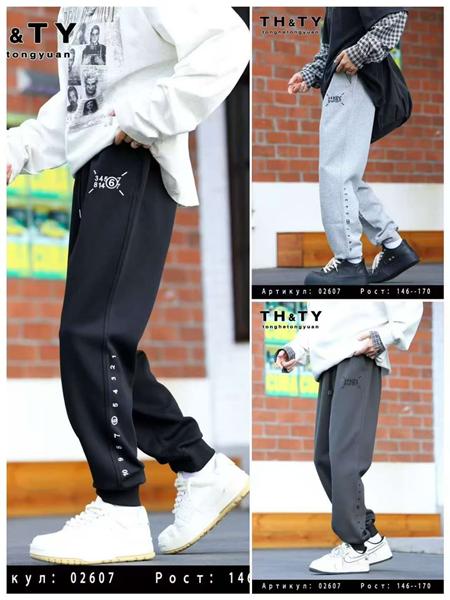 Штаны спорт Delfinka (146-170) 02607 l.grey (деми)