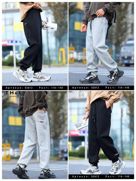 Штаны спорт Delfinka (116-140) 02612 grey (деми)