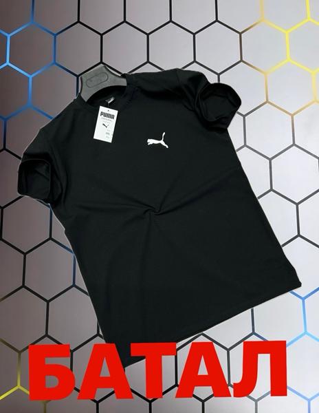 Футболка Alex Clothes (2XL-6XL) 13403 black (лето)