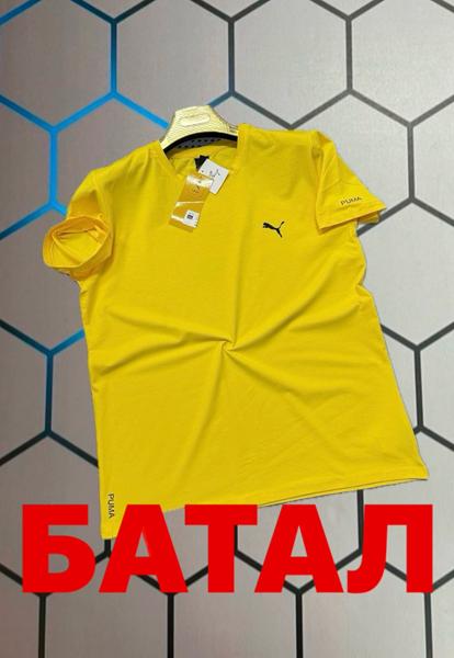 Футболка Alex Clothes (2XL-6XL) 13419 yellow (лето)
