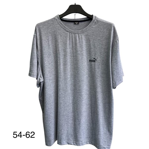 Футболка TRAN (54-62) TR810 grey (лето)