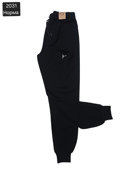 Штаны спорт Moranny (S-2XL) 2031 black (деми)