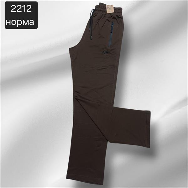 Штаны спорт Moranny (S-2XL) 2212 brown (деми)