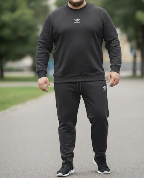 Костюм спорт Zalov (54-62) ZW1215 d.grey (деми)