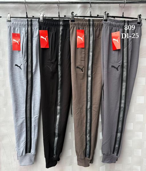 Штаны спорт Shon (42-50) S2363 l.grey (деми)