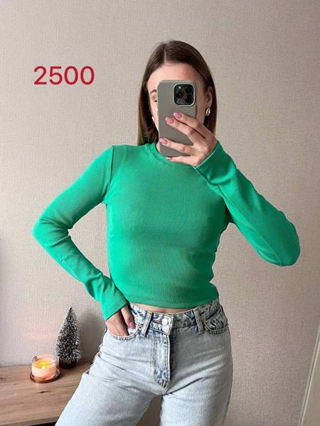 Топ FSN (42-46) 2500 l.green (деми)