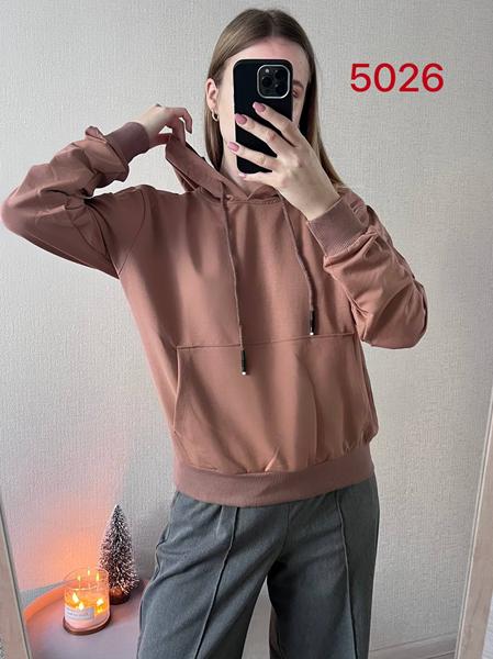 Худи FSN (42-48) 5026 brown (деми)