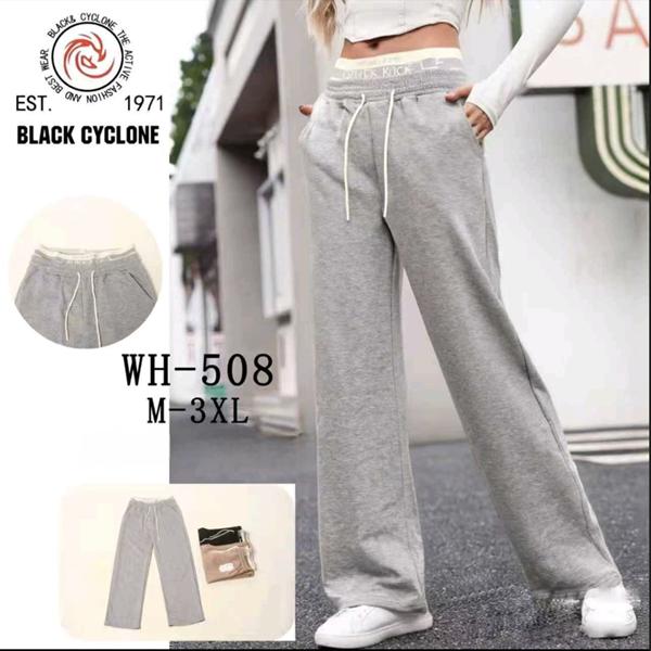 Штаны спорт Hoan (M-3XL) WH508 mix (деми)