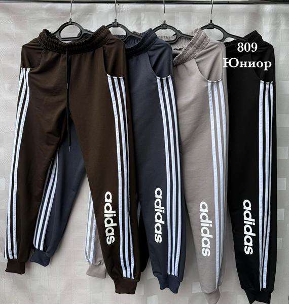 Штаны спорт Shon (40-48) S2580 black (деми)