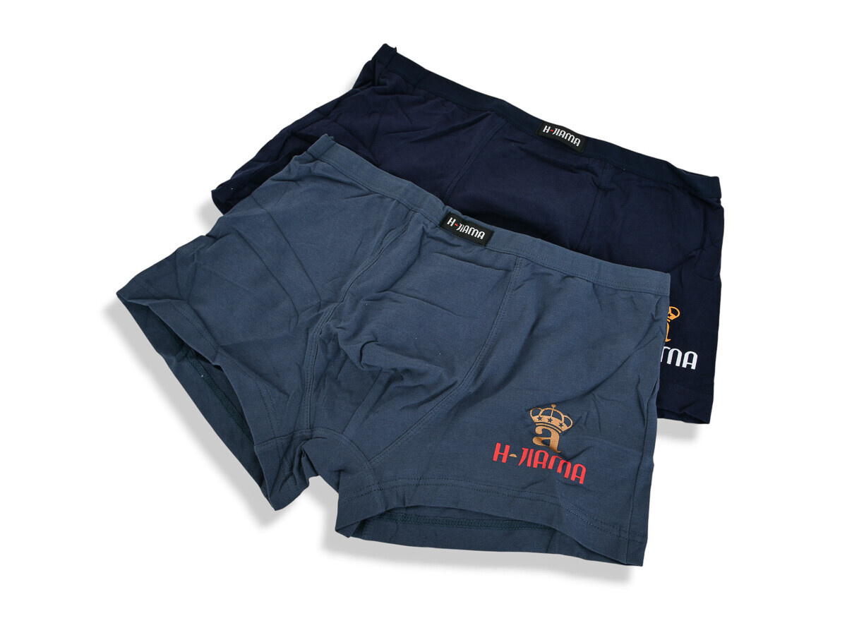 Трусы Textile (L-3XL) H6810 mix L-3XL (деми)