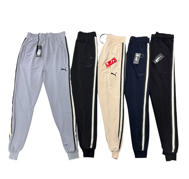 Штаны спорт Phi Hung (48-58) P241 beige (деми)