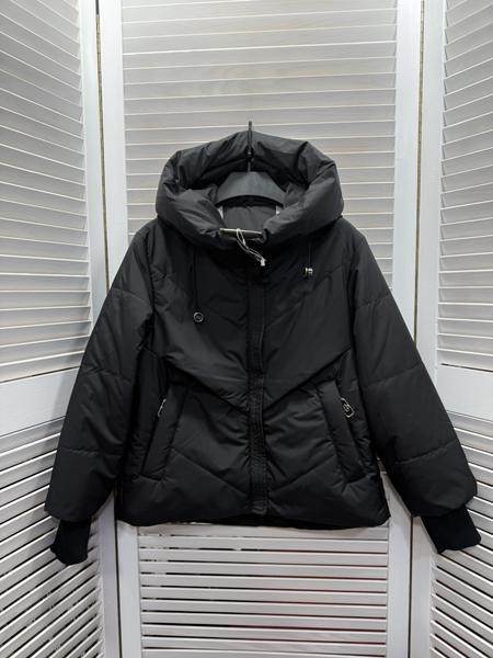 Куртка Major (140-164) YM43B black (деми)