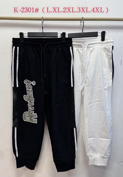 Штаны спорт Immei (L-4XL) K2301 white (деми)