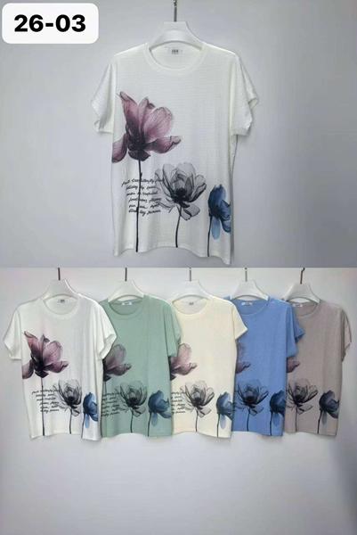 Футболка LiOpt (5XL-6XL) 26-03 mix (лето)