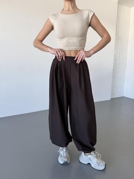 Штаны спорт Arina (42-48) 1710 brown (деми)