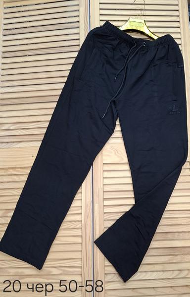 Штаны спорт Sport style (50-58) 20-1 black (деми)