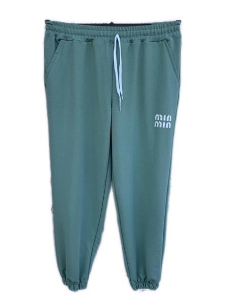 Штаны спорт ALIA (50-58) AL8 green (деми)