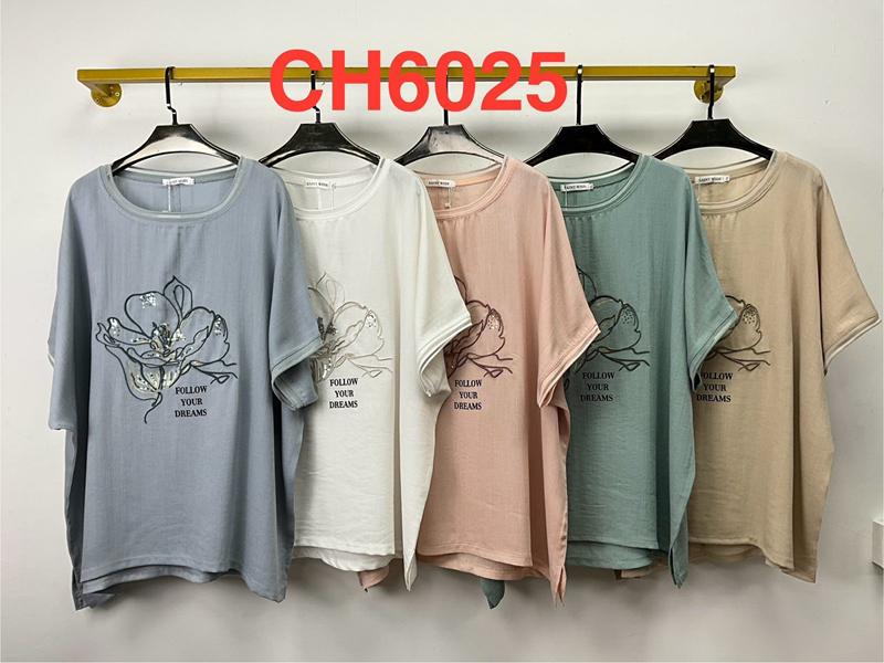 Футболка Saint Wish (5XL-6XL) CH6025 mix (лето)