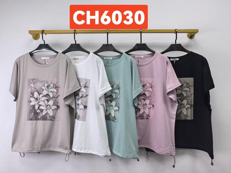 Футболка Saint Wish (3XL-4XL) CH6030 mix (лето)