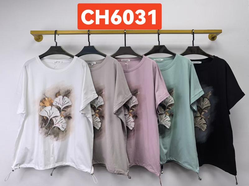 Футболка Saint Wish (3XL-4XL) CH6031 mix (лето)