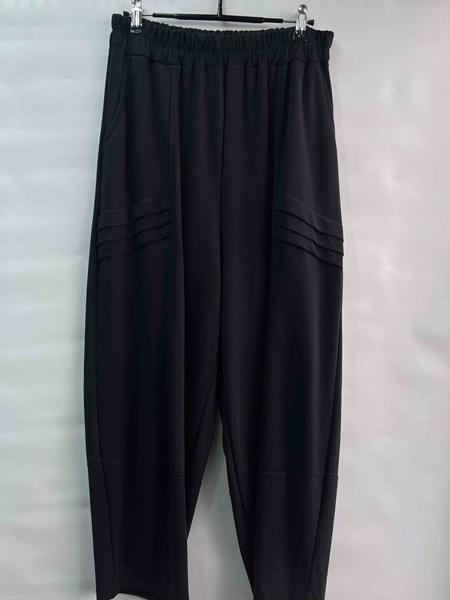 Штаны спорт Emsweekis (50-52) E1534 black (деми)