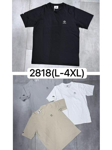 Футболка Ale-Ate (L-4XL) 2818 white (лето)