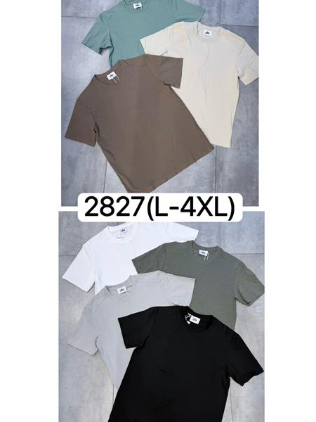 Футболка Ale-Ate (L-4XL) 2827 khaki (лето)