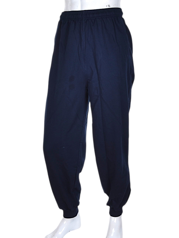 Штаны спорт CND2 (48-56) 4342 манжет (деми)