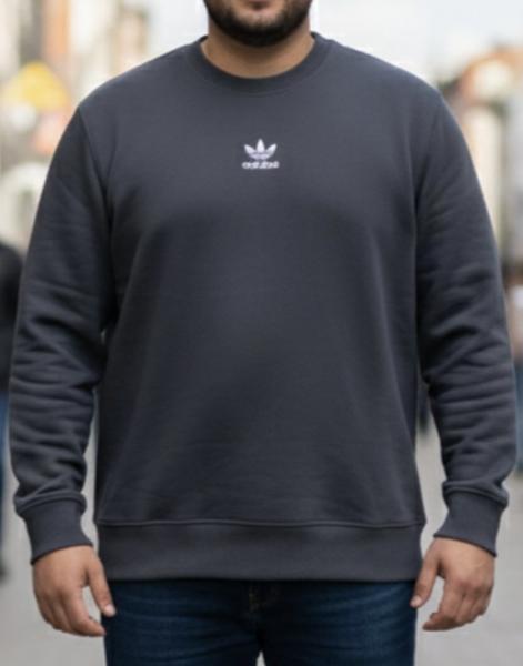 Свитер Zalov (54-62) ZW1256 d.grey (деми)