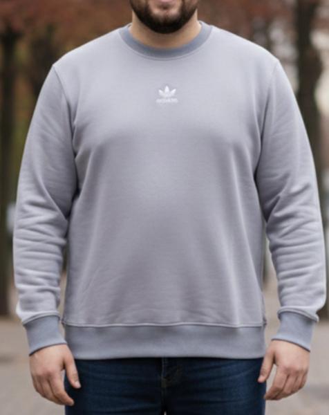 Свитер Zalov (54-62) ZW1257 l.grey (деми)