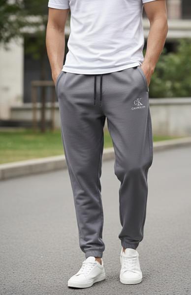 Штаны спорт Zalov (46-52) ZW1285 grey (деми)