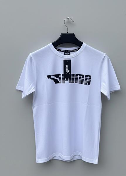 Футболка Zalov (46-54) ZW1290 white (лето)